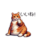 ドット絵 太っちょキジトラ 食べ過ぎ 猫（個別スタンプ：12）