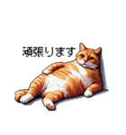 ドット絵 太っちょキジトラ 食べ過ぎ 猫（個別スタンプ：23）