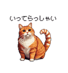 ドット絵 太っちょキジトラ 食べ過ぎ 猫（個別スタンプ：29）