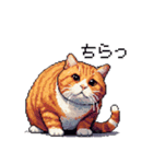 ドット絵 太っちょキジトラ 食べ過ぎ 猫（個別スタンプ：31）