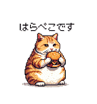 ドット絵 太っちょキジトラ 食べ過ぎ 猫（個別スタンプ：37）