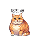 ドット絵 太っちょキジトラ 食べ過ぎ 猫（個別スタンプ：39）