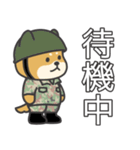 陸上自衛隊・かわいい柴犬三曹スタンプ（個別スタンプ：39）