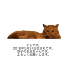 大天使テトくん！（2）（個別スタンプ：2）