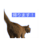 大天使テトくん！（2）（個別スタンプ：7）