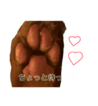大天使テトくん！（2）（個別スタンプ：8）