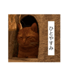 大天使テトくん！（2）（個別スタンプ：13）