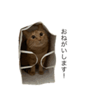 大天使テトくん！（2）（個別スタンプ：14）