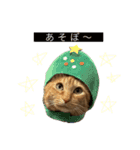 大天使テトくん！（2）（個別スタンプ：15）