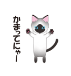 マイペで甘なねこ（個別スタンプ：3）