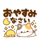 猫ちゃん♡毎日使えるデカ文字（個別スタンプ：16）