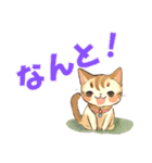 かわいい猫が挨拶♪日常のほんわか癒し♪（個別スタンプ：11）