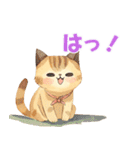 かわいい猫が挨拶♪日常のほんわか癒し♪（個別スタンプ：31）