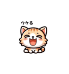 こねこ日記（個別スタンプ：3）