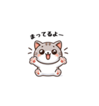 こねこ日記（個別スタンプ：16）