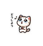 こねこ日記（個別スタンプ：19）