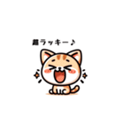 こねこ日記（個別スタンプ：36）