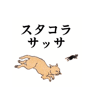 国芳の猫 其の弐（個別スタンプ：10）