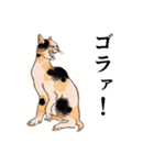 国芳の猫 其の弐（個別スタンプ：24）