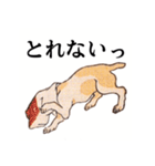 国芳の猫 其の弐（個別スタンプ：25）