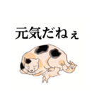 国芳の猫 其の弐（個別スタンプ：40）