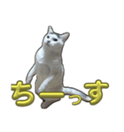 ぷっちぷー（個別スタンプ：5）