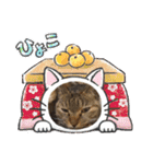 癒し系ねこちゃんあいさつスタンプ（個別スタンプ：24）