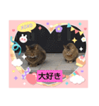 癒し系ねこちゃんあいさつスタンプ（個別スタンプ：28）