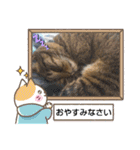 癒し系ねこちゃんあいさつスタンプ（個別スタンプ：32）