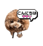 cocomarスタンプ（個別スタンプ：6）