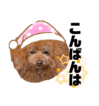 cocomarスタンプ（個別スタンプ：7）