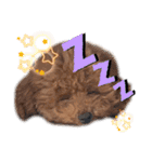 cocomarスタンプ（個別スタンプ：9）