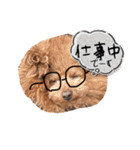 cocomarスタンプ（個別スタンプ：10）