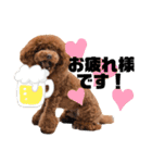 cocomarスタンプ（個別スタンプ：12）