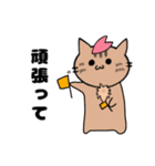 推し活もふねこ[さくら]／日常で使える（個別スタンプ：14）