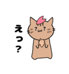 推し活もふねこ[さくら]／日常で使える（個別スタンプ：21）