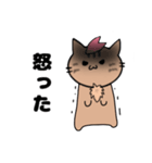 推し活もふねこ[さくら]／日常で使える（個別スタンプ：24）