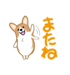 corgi-plus4（個別スタンプ：3）