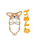 corgi-plus4（個別スタンプ：5）