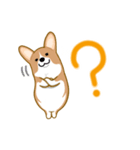 corgi-plus4（個別スタンプ：8）