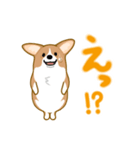 corgi-plus4（個別スタンプ：9）