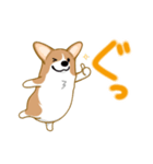 corgi-plus4（個別スタンプ：12）