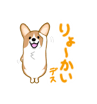 corgi-plus4（個別スタンプ：13）