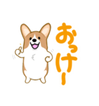 corgi-plus4（個別スタンプ：14）