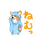 corgi-plus4（個別スタンプ：16）