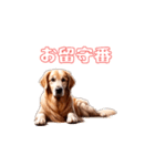 愛犬ゴールデンレトリバーといっしょ（個別スタンプ：11）