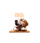 愛犬ゴールデンレトリバーといっしょ（個別スタンプ：24）