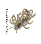 否定的ウミウシ（個別スタンプ：8）