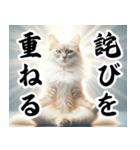 【座禅猫】日常で使える沁みる言葉（個別スタンプ：2）