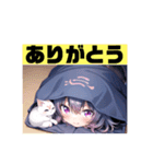 妖・猫袋入り娘テイマーねこねこもりちゃん（個別スタンプ：19）